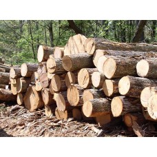 Wood & Timber